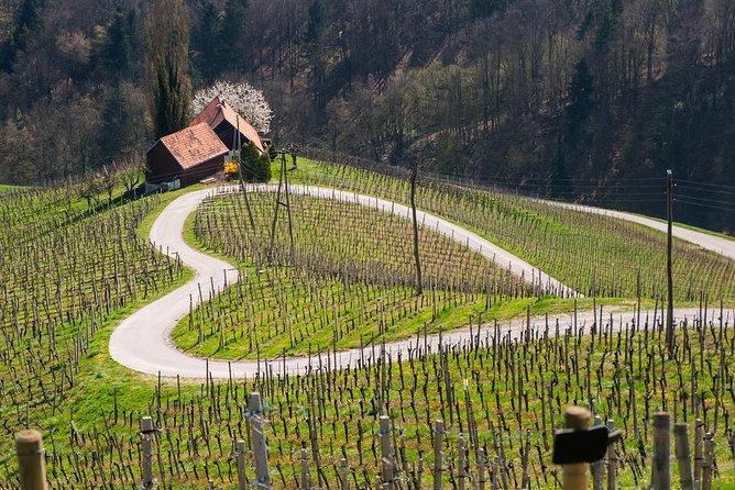 Private Maribor, Ptuj & Wine Road From Bled - Booking Process