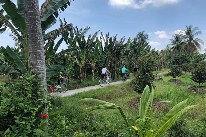 Private Mekong Delta 2 Days 1 Night - Exclusions From the Package