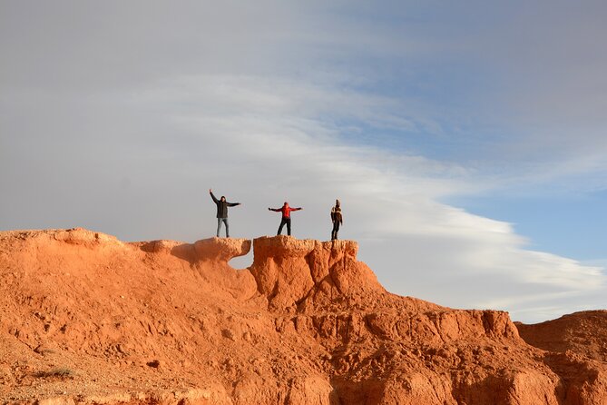 Private Mongolia Gobi Desert Winter Tour - Price and Guarantee