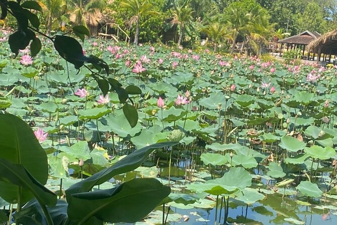 Private Nha Trang Countryside - the Real Life. - Booking and Reservation Process