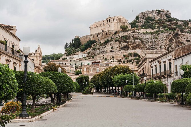 PRIVATE ONE DAY BAROQUE TOUR in SICILY From Malta - Transportation Details