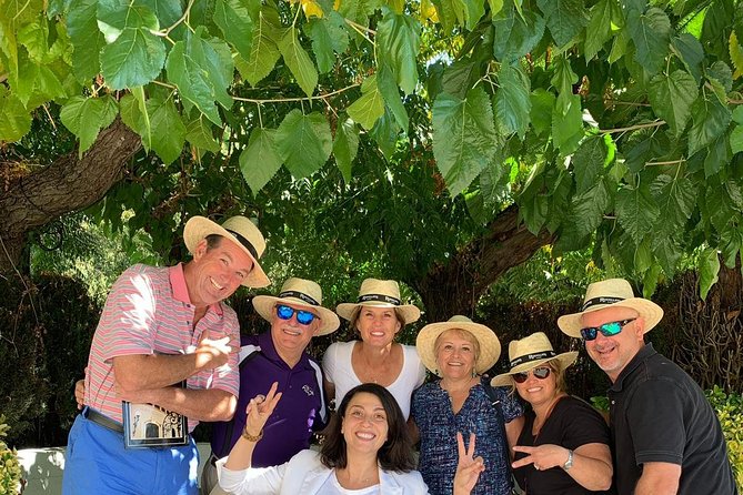 Private Penedes Wine and Cava Day Tour From Barcelona With Transportation - Pricing Information