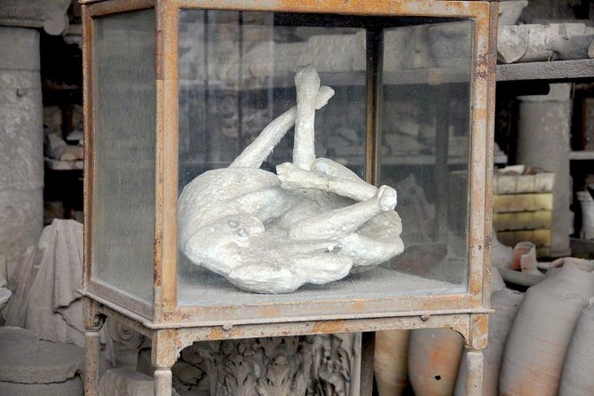 Private Pompeii and Sorrento From Rome - Additional Information