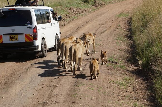 Private Road Transfer From Nairobi to Amboseli National Park - Cancellation Policy