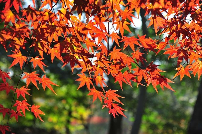 Private Round Trip to Tianping Mtn & Mudu Water Town From Suzhou - Mudu Water Town Highlights