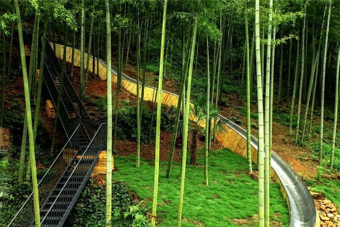 Private Round Trip Transfer to Mogan Mountain From Hangzhou - Cancellation Policy