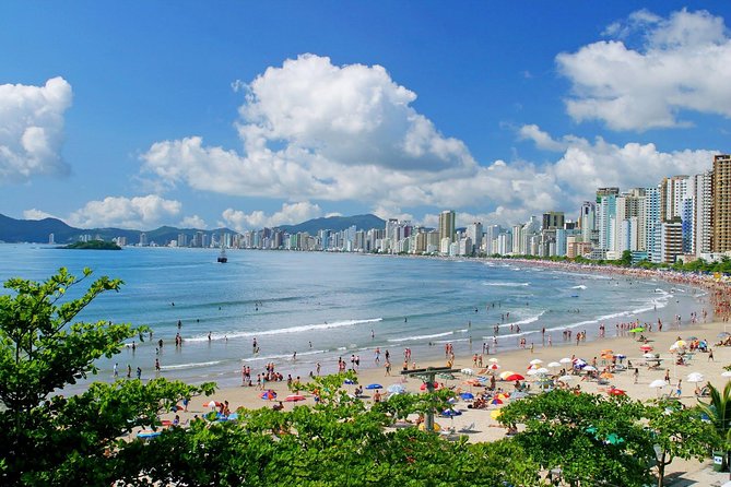 Private Santos Day Trip From São Paulo - Accessibility Features