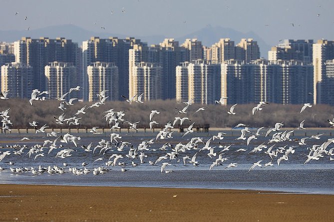 Private Seasonal Day Tour to Beidaihe From Beijing With Birding Experience - Seasonal Availability