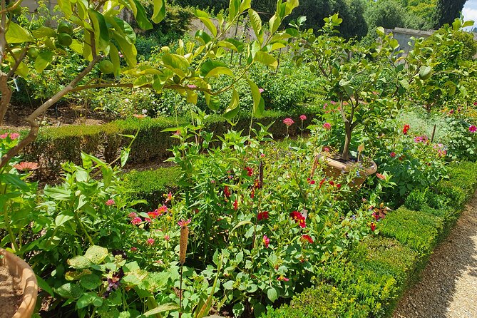 Private Session Learning Italian in the Boboli Gardens - Frequently Asked Questions