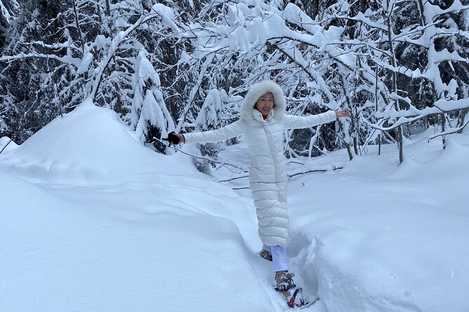 Private Snowshoe Hike in Courchevel - Meeting Options