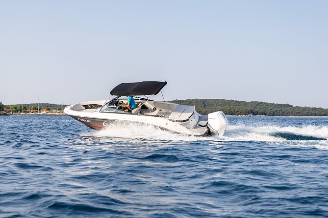 Private Sunrise Dolphin Watching With Drinks in Rovinj - What to Expect