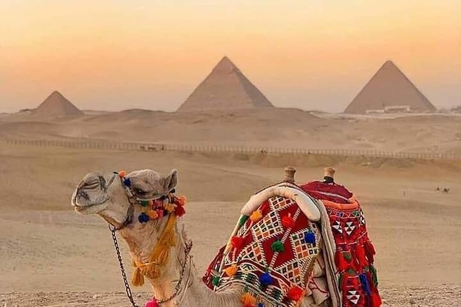 Private Sunset Safari at the Pyramids (Camel Ride & BBQ Included) - Confirmation and Recommendations
