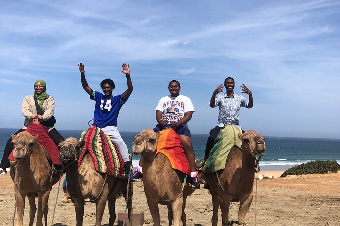 Private Tangier Tour and Camel Ride From Cruise Ship - Accessibility Features