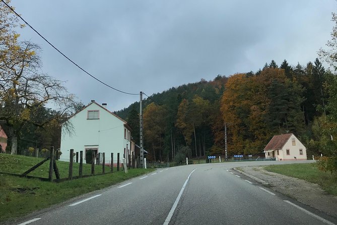 Private Taxi Driver Strasbourg - Stuttgart Airport (Str) - Additional Information and Group Size