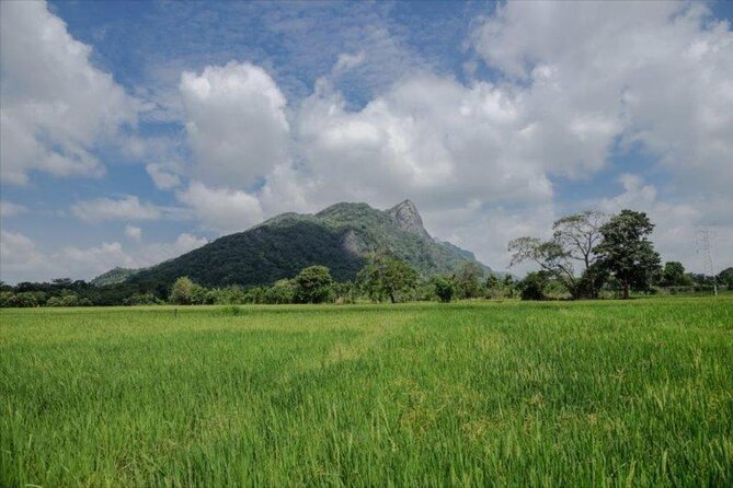 Private Taxi From Sri Lanka Airport (Bia-Cmb) to Dambulla Hotels - Infant Seats Available