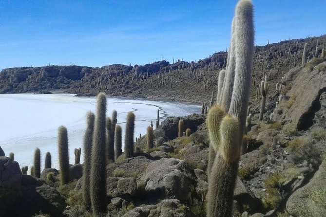 Private Tour: 2 Days Uyuni Salt Flats & Volcano Tunupa From Uyuni - Important Information