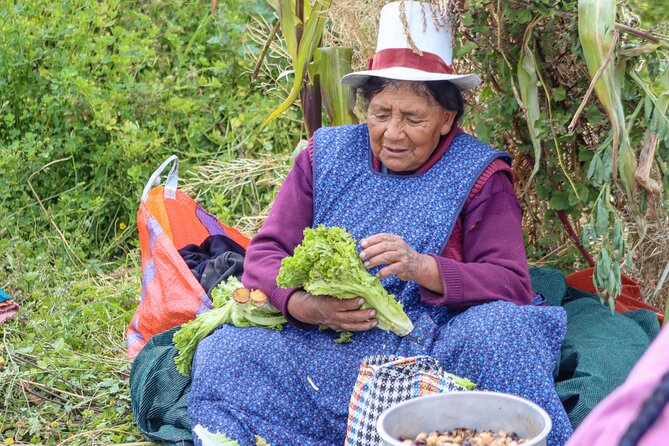 Private Tour Chonta Condor Viewpoint From Cusco - Important Information