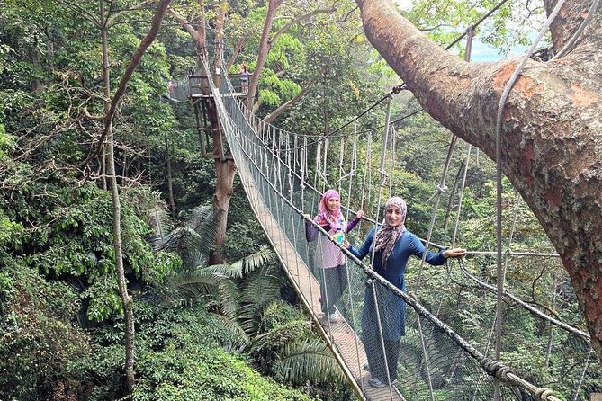 Private Tour : Forest Research Institute Malaysia (FRIM) Rainforest Exploration - Cancellation Policy