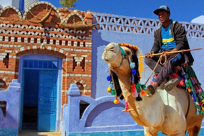 Private Tour From Aswan to Philaetemple and Nubianvillage by Boat - Booking Details
