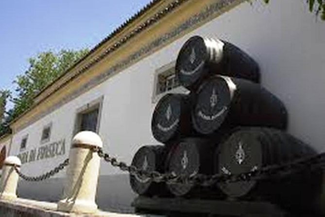 Private Tour: Half-Day Visiting Setúbal Winery and Lunch Grill Fish at Sessimbra - Reservation