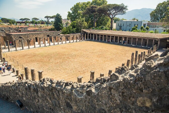 Private Tour of Pompeii From Positano - Pricing Details