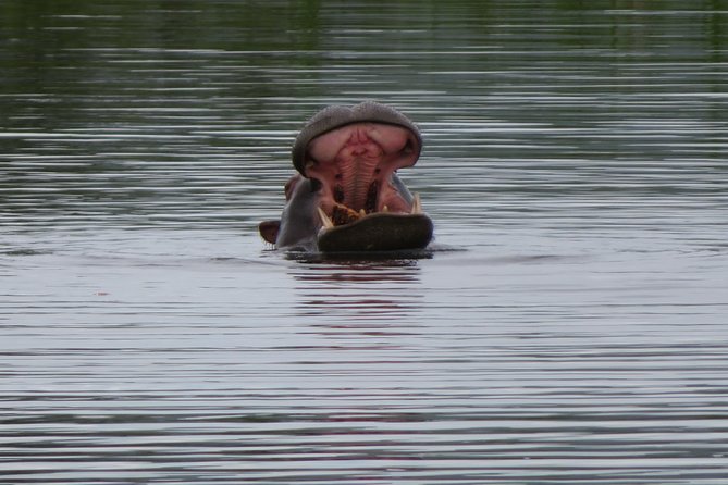 Private Tour of Rwanda (5 Days) - Participation Requirements