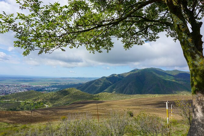 Private Tour to Gabala and Shamakhi Nature From Baku - Booking Directions