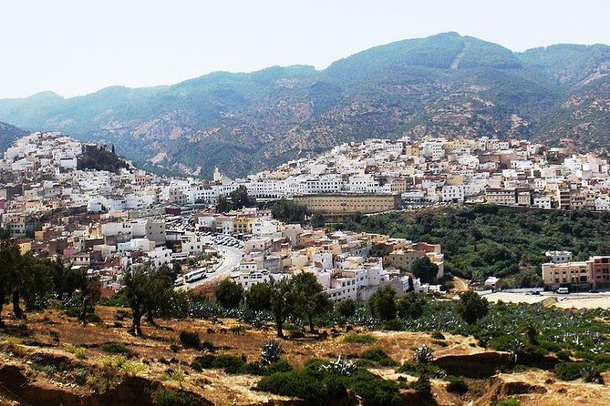 Private Tour:Fez in One Day Sightseeing Tour Including Blue Gate, The Tannery.. - Tour Schedule