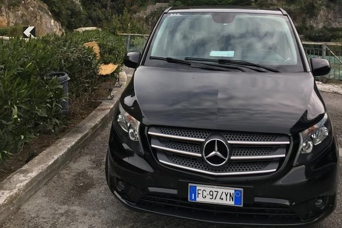 Private Transfer by Mercedes Van From Sorrento/Amalfi Coast to Rome - Additional Information