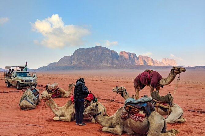 Private Transfer From Amman to Wadi Musa - Additional Services Offered