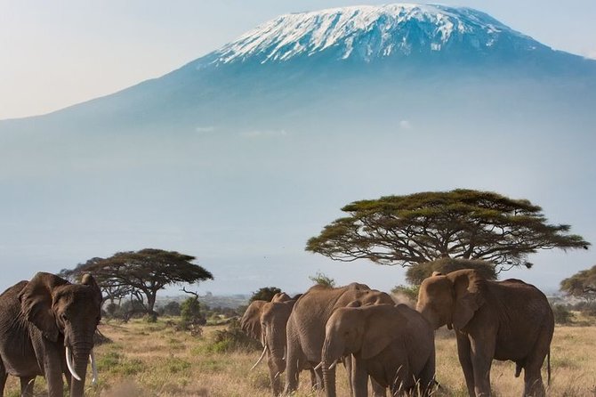 Private Transfer From Diori Hamani Airport (Nim) to Niamey - End Point