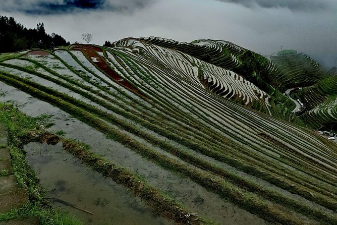Private Transfer From Fenghuang to Guilin and Stops at Longji Terraces - Cancellation Policy