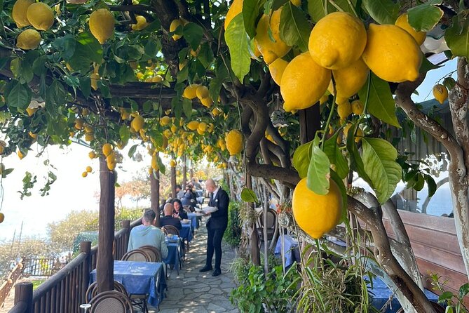 Private Transfer From Naples to Positano - Reviews and Ratings