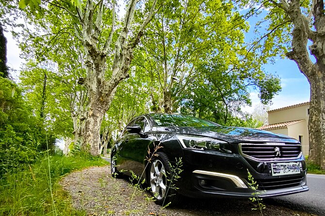 Private Transfers From Marseille and Saint-Rémy De Provence Airports - Additional Info