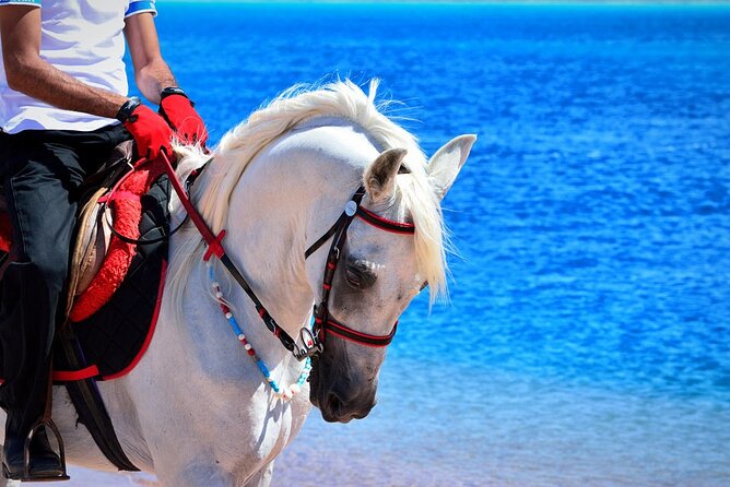 Private Transportation To Adventure Safari By Horse In Sharm El Sheikh - Cancellation Policy