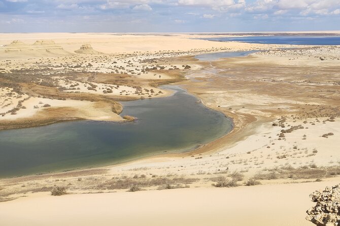Private Trip to Fayum and Valley of the Whales With Sand Skate - Pricing and Variations