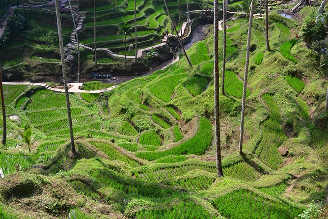 Private Ubud Cretya Tours - Booking Information