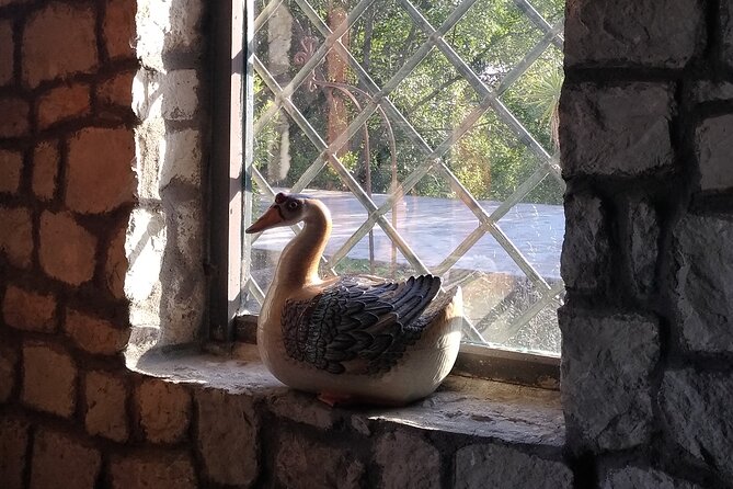 Private Visit to the Ugo Tognazzi House Museum With Wine Tasting - Private Visit Highlights