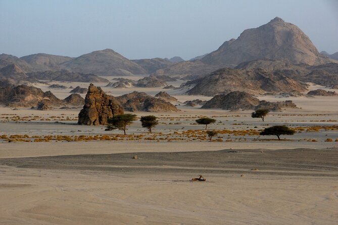 Private Wadi El Gemal Tour From Marsa Alam - Reservation and Payment Options