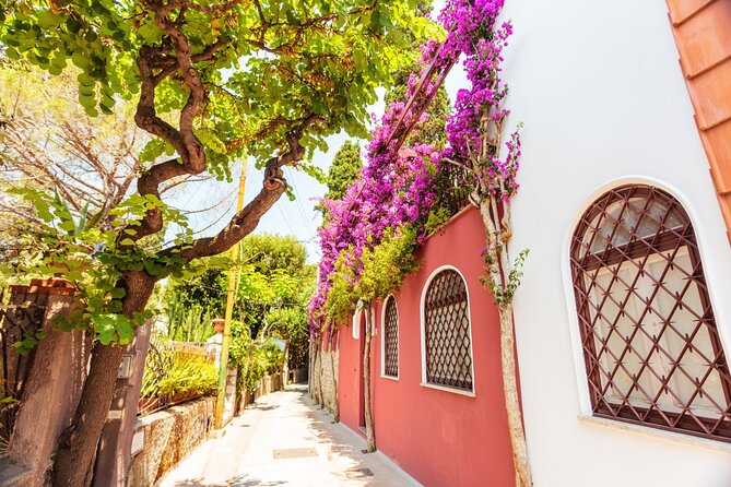 Private Walking Tour in Capri - Booking Confirmation