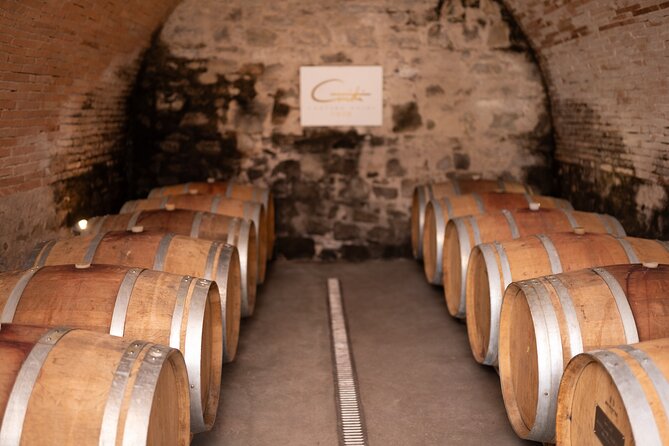 Private Wine Tasting Experience in the Heart of Tuscany - Tips for an Enjoyable Visit