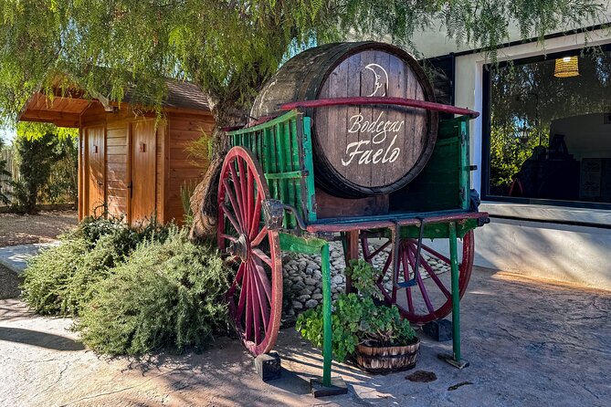 Private Wine Tour to the Costa Blanca Wineries - Expert Bilingual Guide