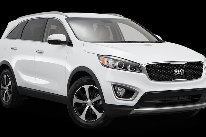 Pyramids of Giza & Sphinx Half Day Tour & Lunch on Nile Cruise 6 Hours Private Tour - Tour Specifics