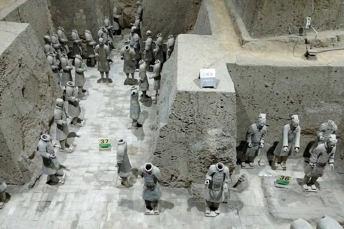 Qin Dynasty In-Depth Discovery and Muslim Quarter Visit in Xian - Local Cuisine Delights