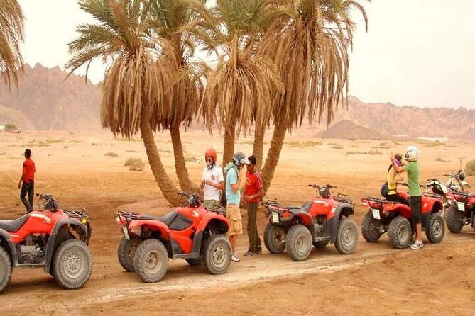 Quad Biking With Camel Ride and Beduin Dinner in Egypt - Group Size and Cancellation Policy