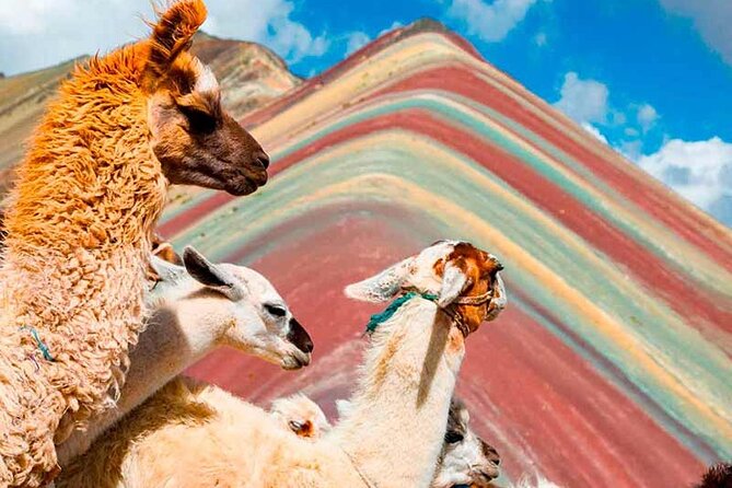 Rainbow Mountain Quad Bike Day Trip - Frequently Asked Questions