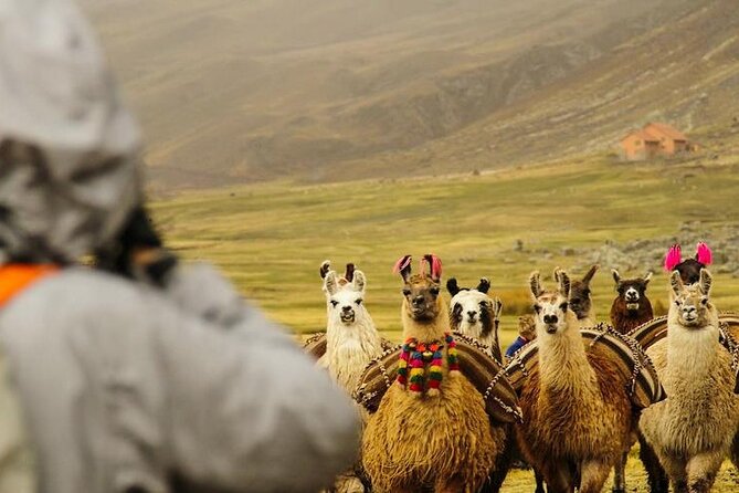 Rainbow Mountain Trek 2D/1N - Travel Tips for Adventurers
