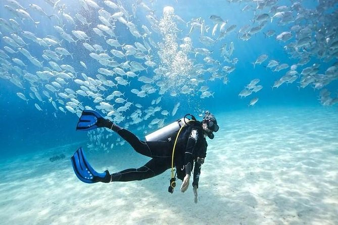 Ras Mohammed Snorkeling Tour by Boat - Tour Logistics