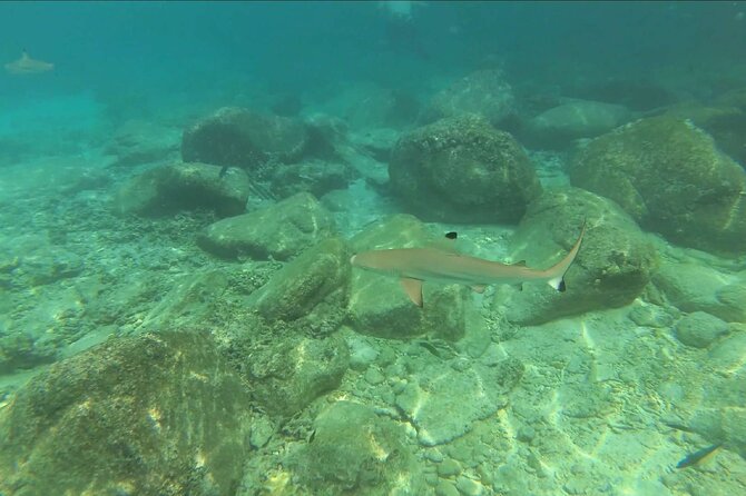 Rawa Island Snorkeling Tour From Perhentian Island - Frequently Asked Questions
