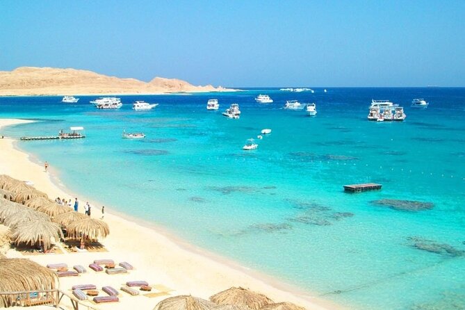 Red Sea Private Day Tour From Cairo - Tour Accessibility